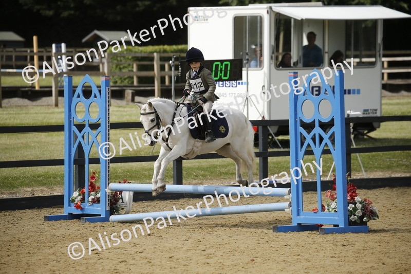 20250622-3742 - 50cm