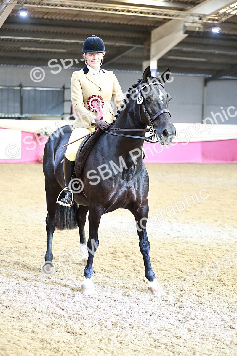 SBM_09154 - Class 12R - Regional Ridden Pre-Vet