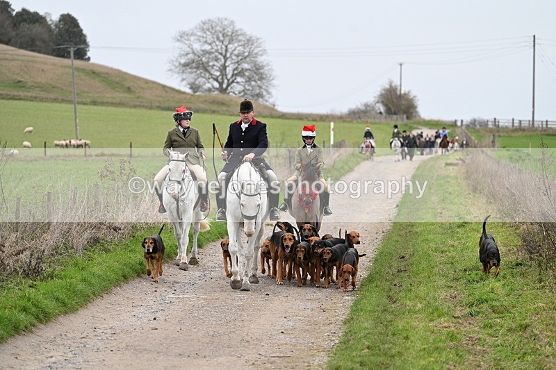 WJ7_1191 - Walk Home