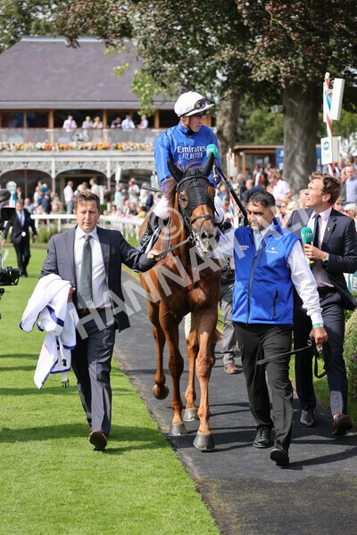 yr18082021r3-94 - Race 3 3.00pm Sky Bet Great Voltigeur Stakes