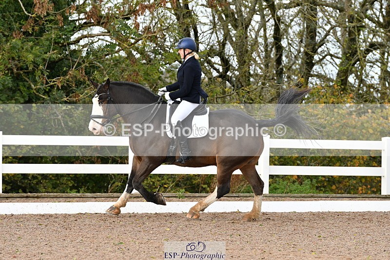 231104A-113825-00251 - Cls 7 Elementary 43