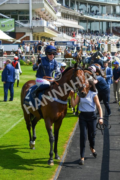 270523-Race 3-Chipstead-0361 - Race 3 2.40pm William Hill Epic Boost Handicap