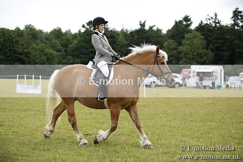 BVR160717-299 - Ring 1 BVRC Show 16/07/17