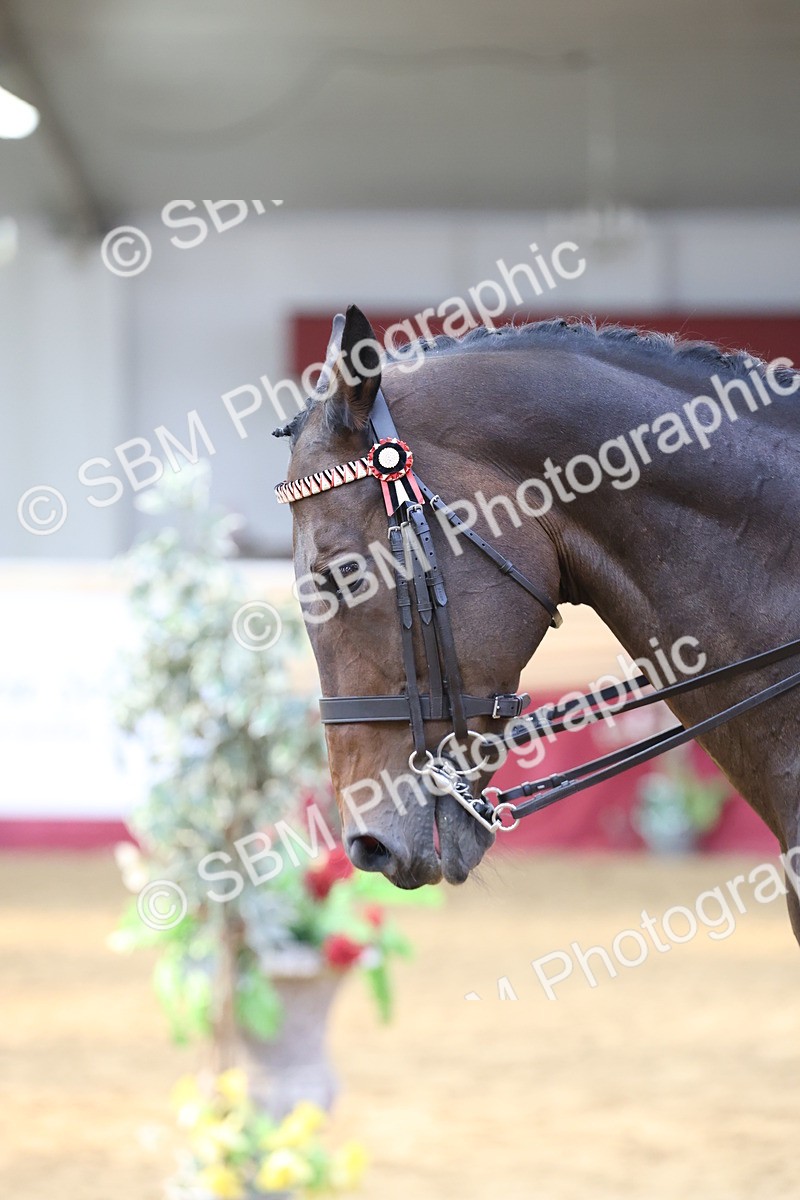 SBM_24159 - Class 905 - Supreme Final - Ridden Veteran