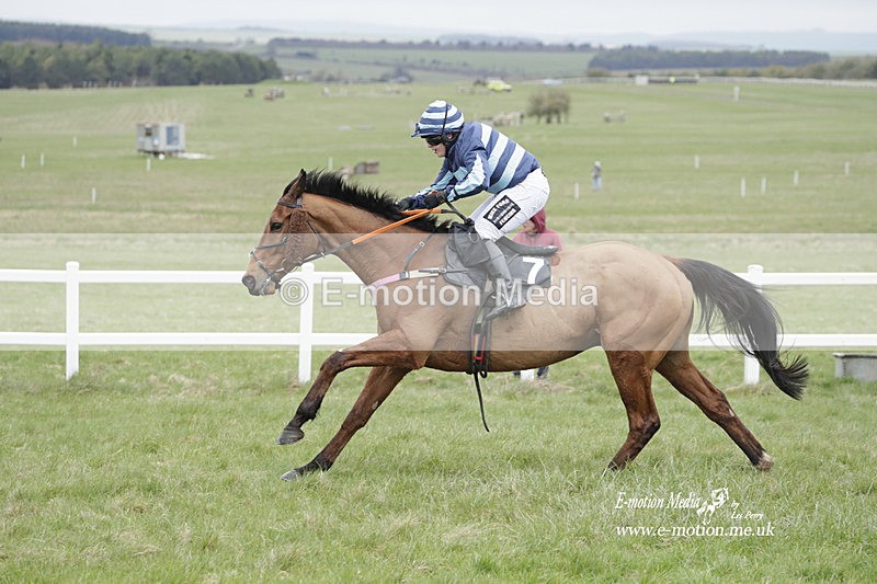 PtP 260323 0523 - New Forest Hounds Point-to-Point Larkhill 26/03/23