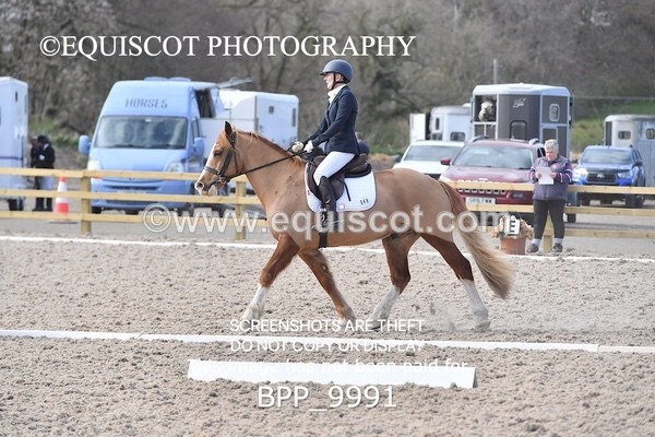 BPP_9991 - MY QUEST NOVICE 2