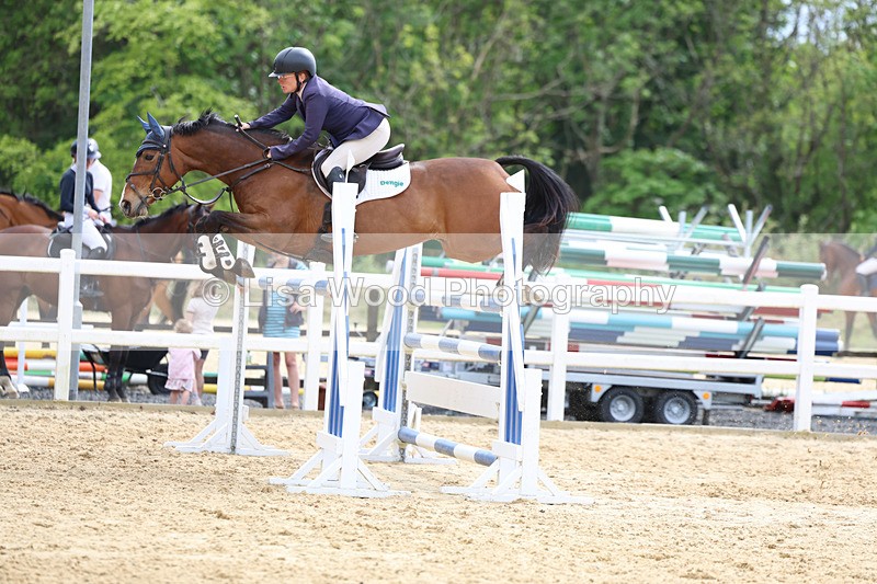 3E7A7795 - Class 8: Senior Foxhunter/1.20 open