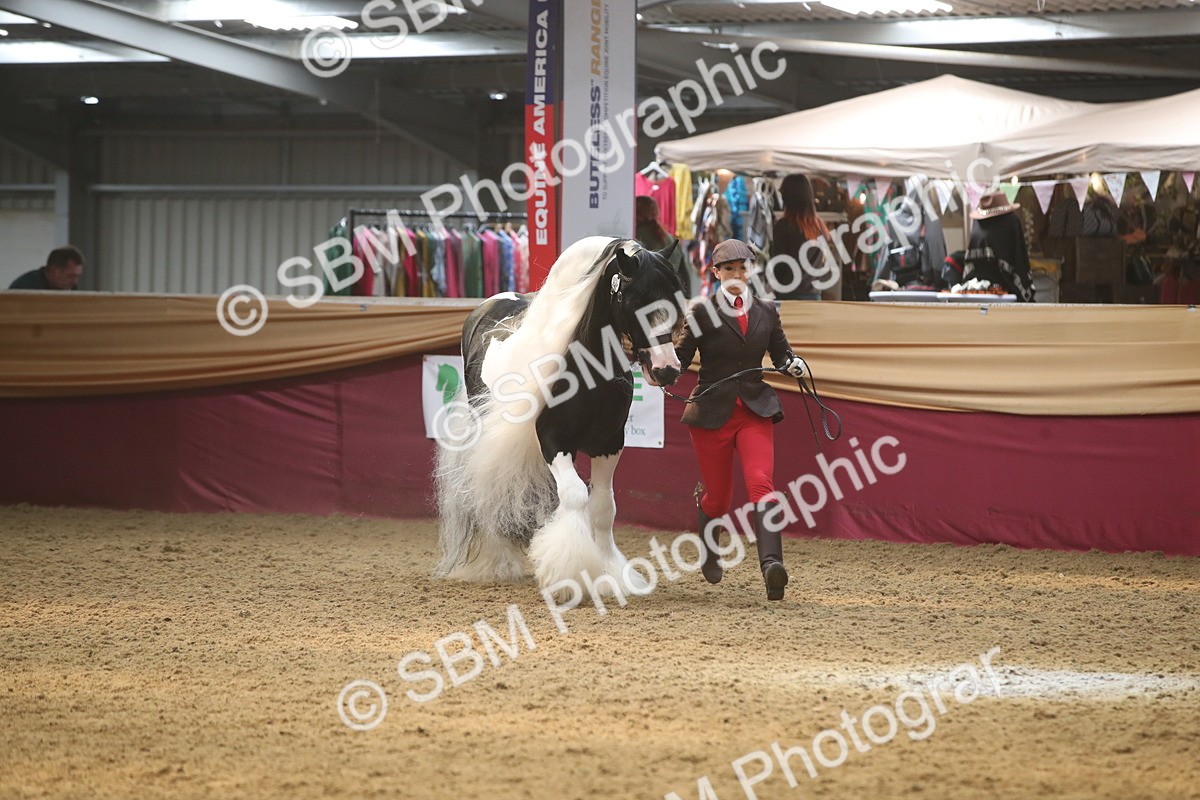 SBM_05606 - Class 9R - Regional IH Pre-Vet