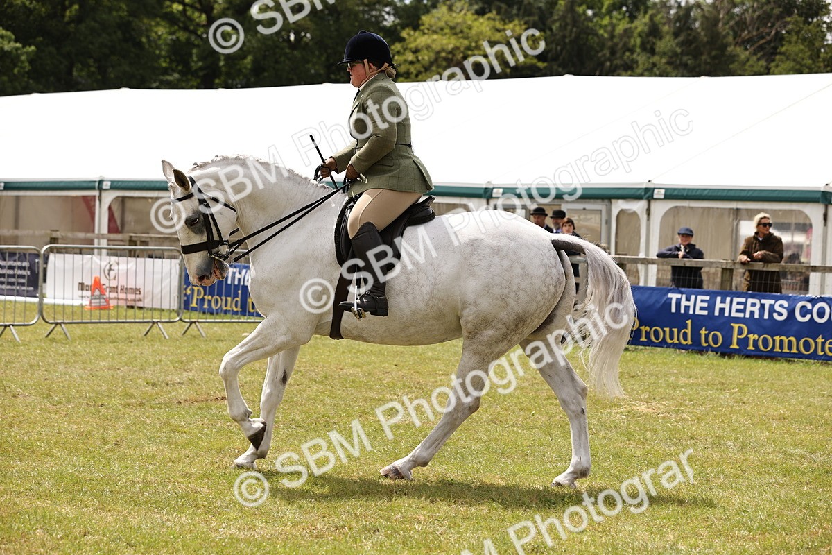 SBM_14676 - Class 88-89 - LIHS BSHA Rising Star of Ridden Hunter Type