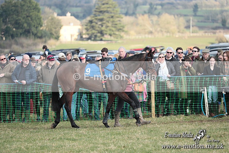 PtP 010325 163 - Beaufort Races Didmarton 01/03/25