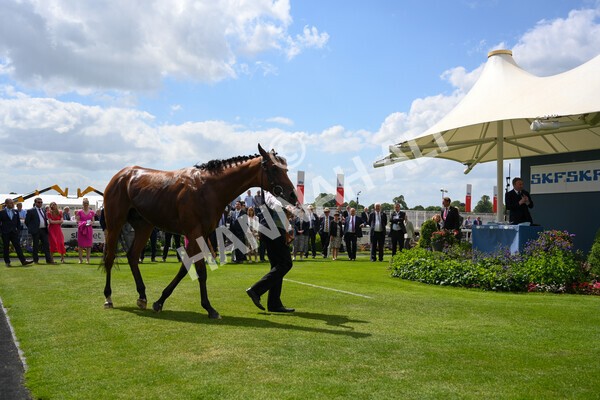 yr10062022r2-49 - Race 2 2.30pm SKF Rous Selling Stakes