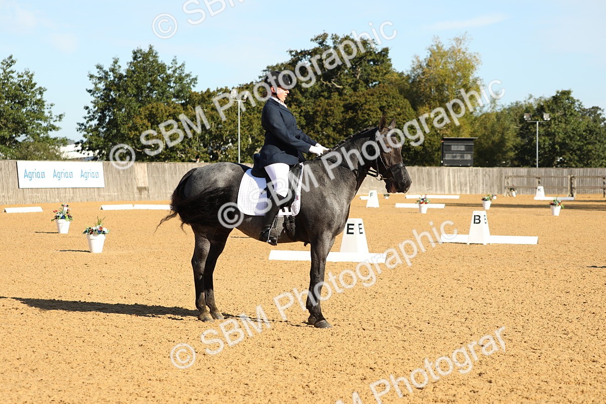 SBM_16494 - D10 - Small Tour Championship - Prelim 2