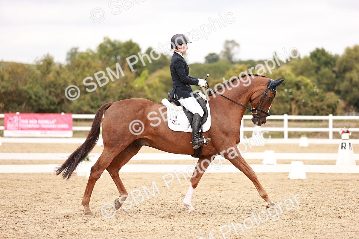 SBM_019279 - Class 20 - Medium 5