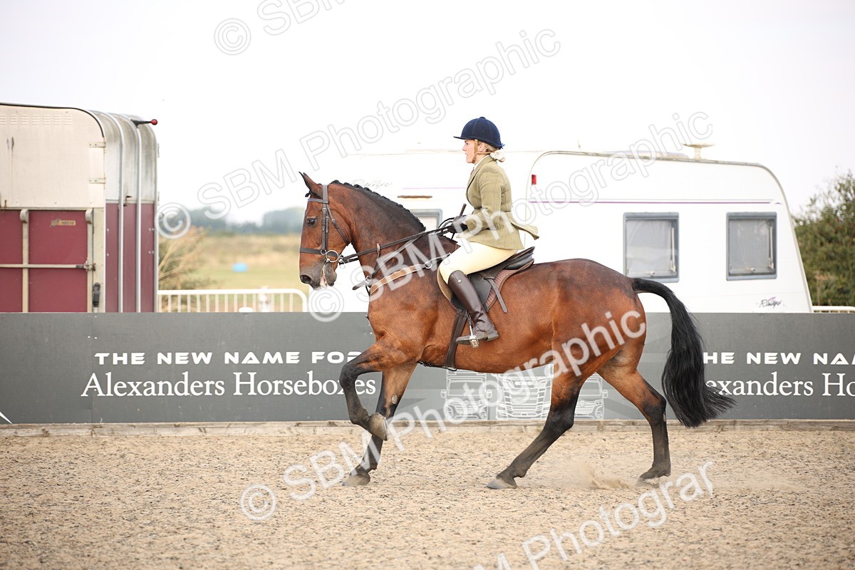 SBM_16045 - Class 408b - Working Veteran 70cm (20+)