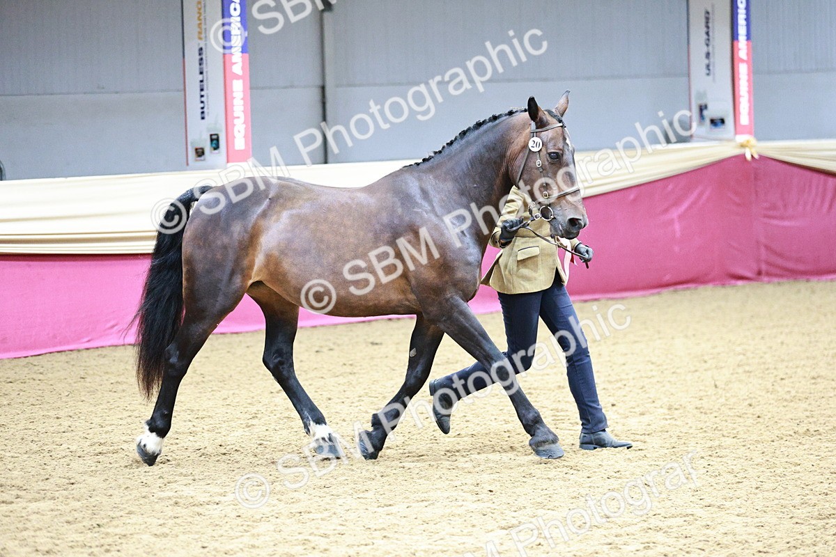 SBM_01113 - Class 2A - Area IH Veteran