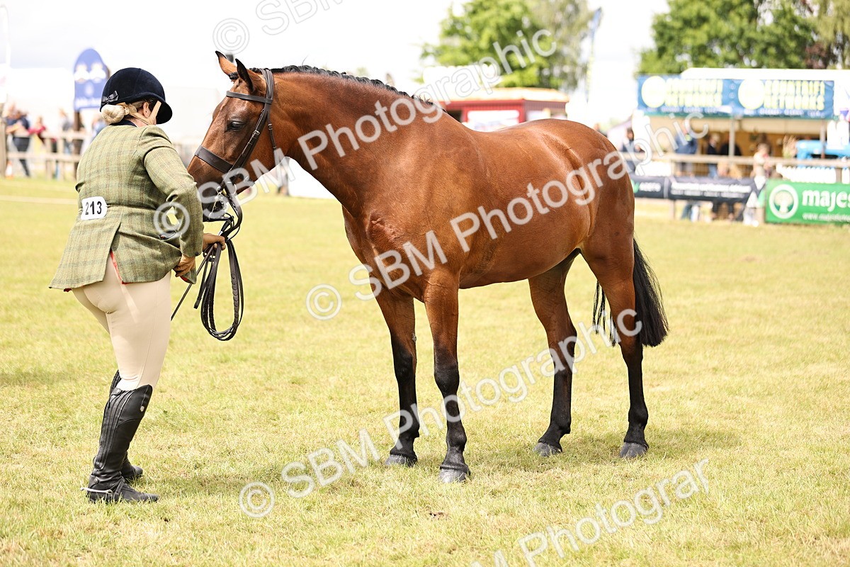 SBM_14620 - Class 88-89 - LIHS BSHA Rising Star of Ridden Hunter Type