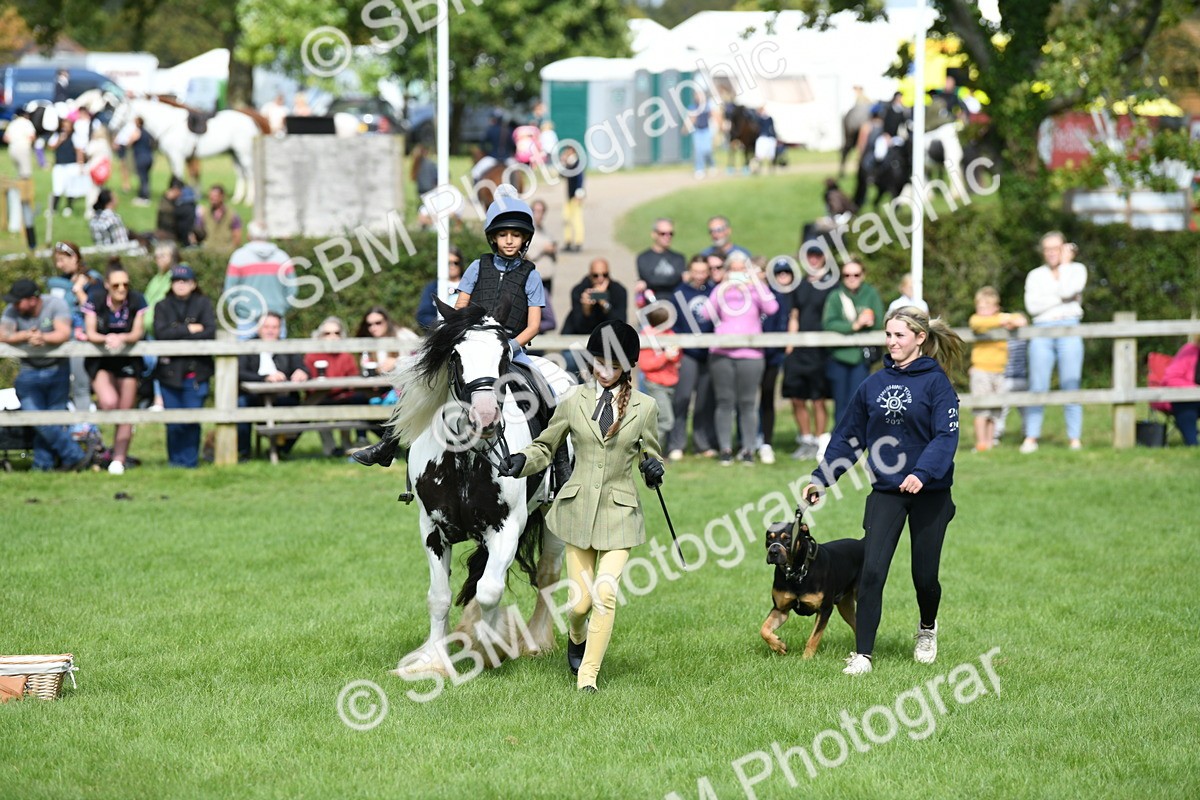 SBM_46943 - S12 - Family Horse & Pony