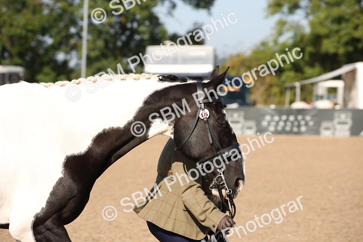 SBM_01488 - Class 15 IH Coloured