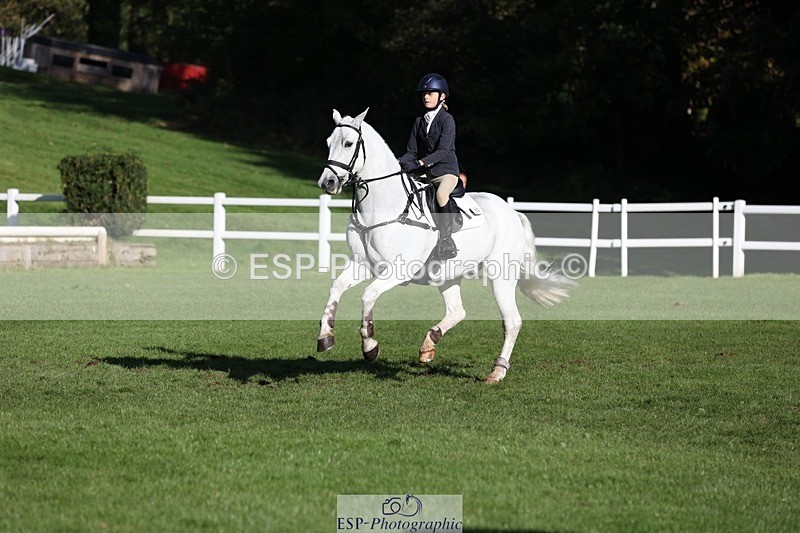 231022-110447-24936 - 653-GREYΓÇÖS.VILLAGE.MELODY-Annabel.Ridgway-TrotUp+SJ