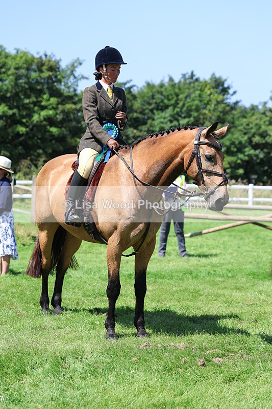 3E7A9277 - Working Hunter Championship