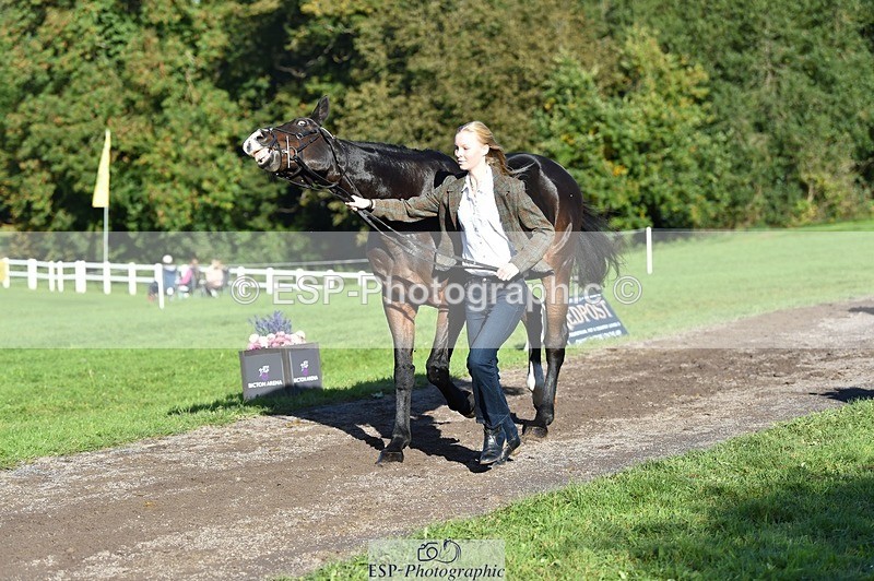 231022-104900-23512 - 489-MY.GALWAY.MAN-Daisy.Hood-TrotUp+SJ