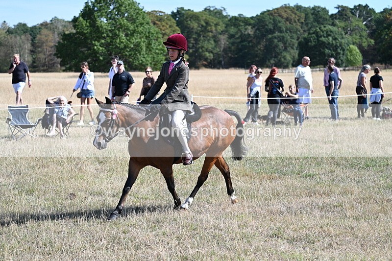 WJ7_4068 - Class 9 Mountain & Moorland Ridden