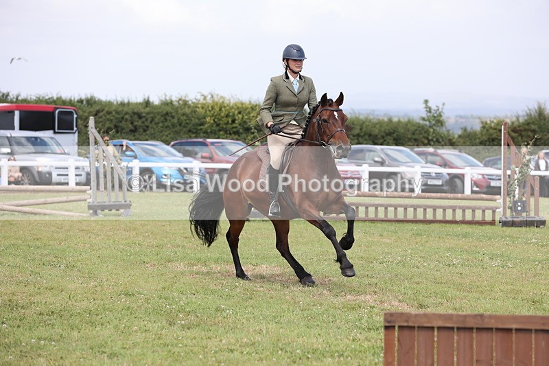 JPP_2039 - Class 19: Working Hunter 60cm