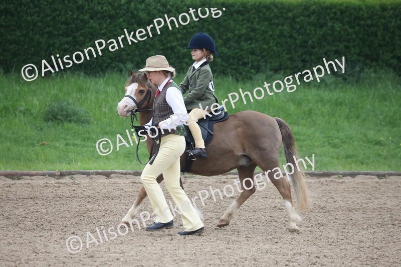 20260504-0102 - Class 9 - Lead Rein Pony