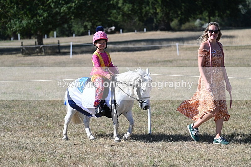 WJ7_2404 - Class 45 Fancy Dress (My Fav)
