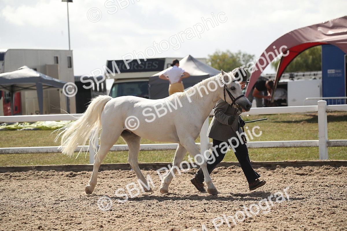 SBM_23529 - Class 605 - 2026 - Area - IH Veteran