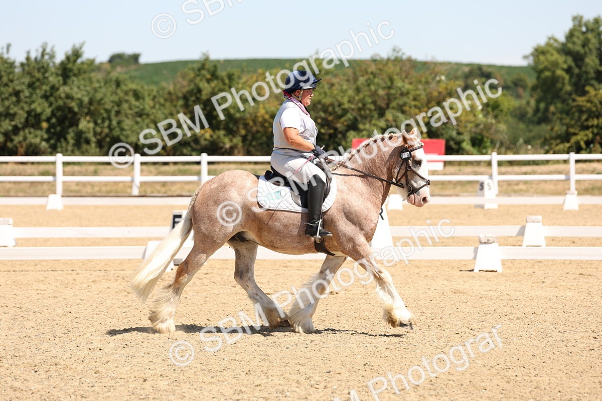 SBM_001273