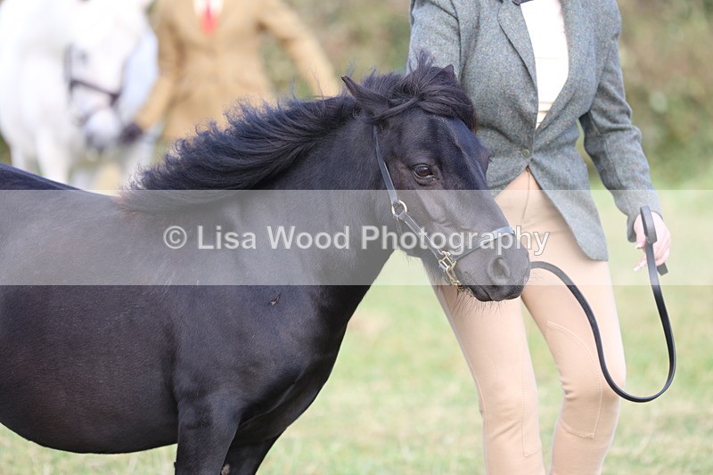 3E7A3288 - Class 12: M & M Small Breeds