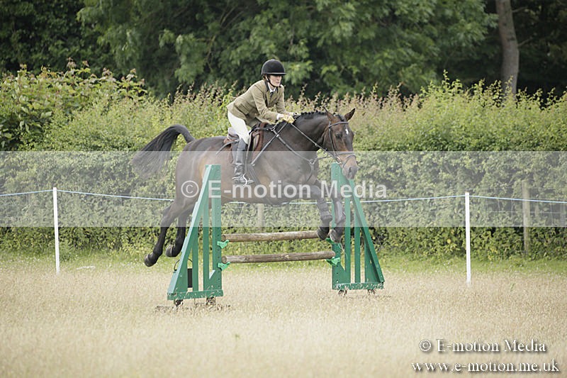 B230619-0868 - Bourne Valley Riding Club Summer Show 23/06/19