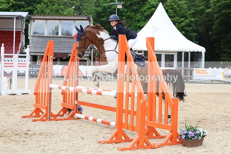 3E7A0121 - Class 13: Pony British Novice/80cm open