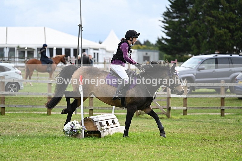 WJ7_9130 - 60cm Time 12:51 to 13:18