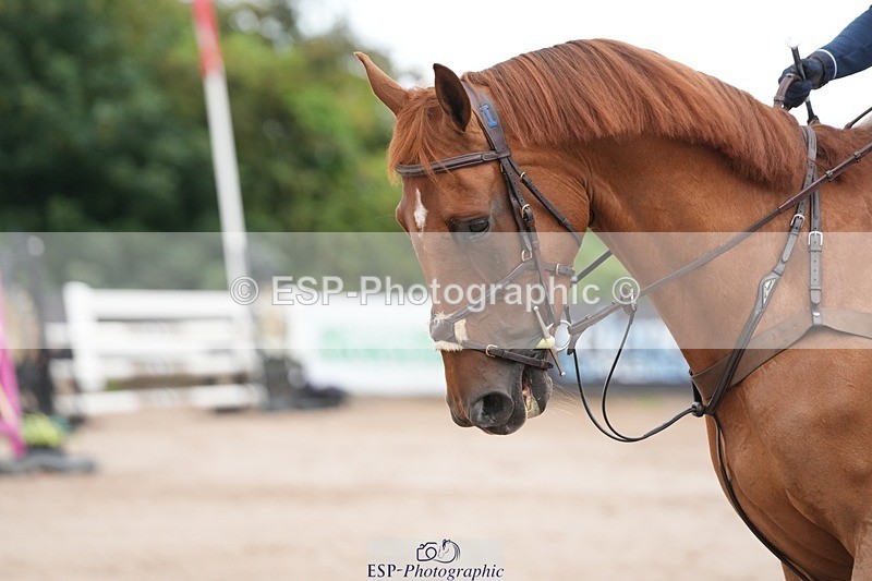 250731-105348-01470 - Cls 08  85cm Nat Am Qual