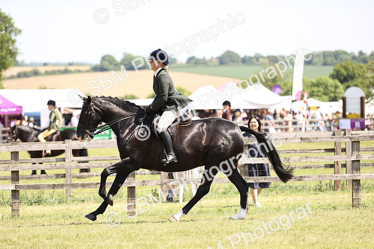 SBM_15136 - Class 79-80 - LIHS BSHA Rising Star Ridden Hunter