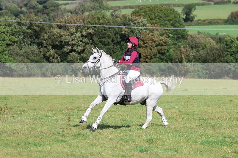 3E7A6694 - Class 1: Trebudannon Open: Pheasant Feeder