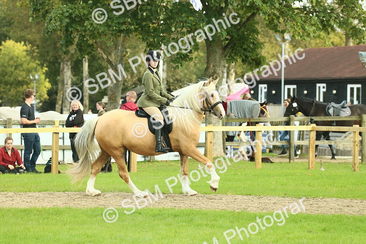 SBM_62658 - S63 - Other Coloured Horse Ridden