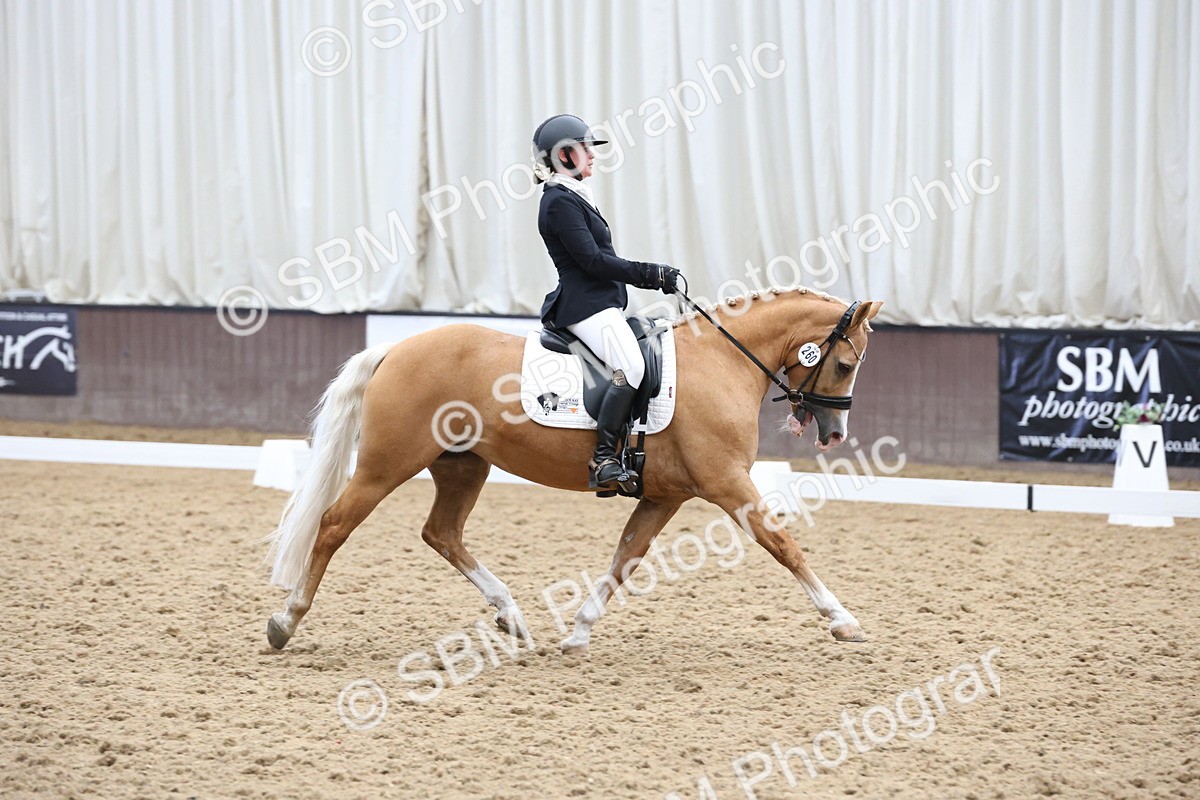 SBM_007564 - Class 23 - Medium FSM Bronze