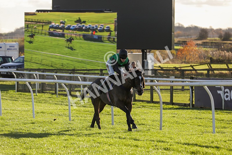 241123-Race 2-Latin Verse-0903 - Race 2