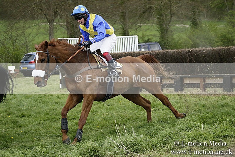 PtP 170417 542 - Old Berks Point-to-Point Lockinge 17/04/17