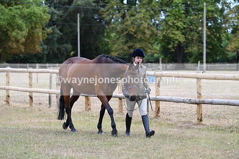 WJ7_8955 - Class 4a Prettiest Mare 14.2hh and over
