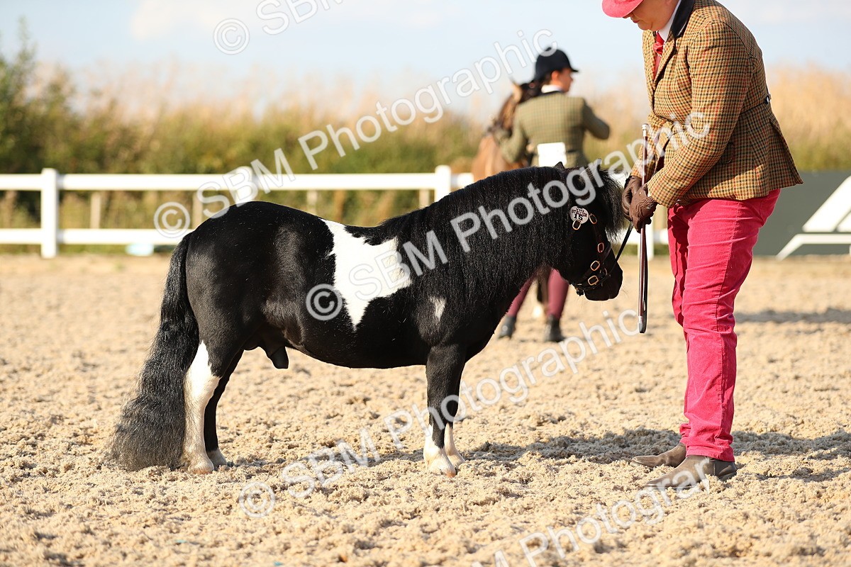 SBM_08993 - Class 29 IH Veteran Pony