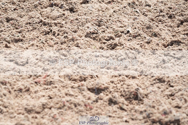 250815-134037-01248 - 1.30pm Presentations