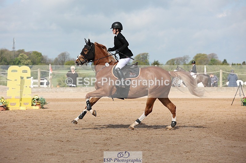 250427-104645-15602 - Cls 36 Young Horse 7yr old