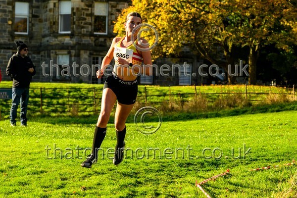 NatRel25-914021 - Young Female Set Two