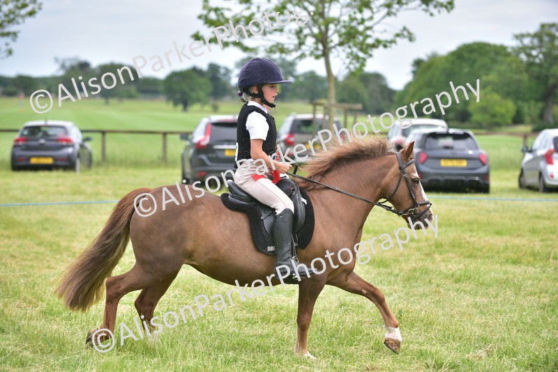 20260614-2720 - Class 13 - Pony Club Pony