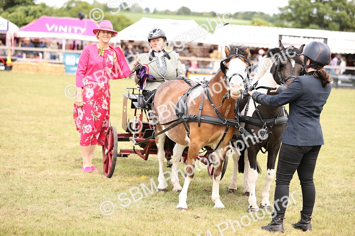 SBM_16123 - Class 91 - Scurry  exceeding 122cms
