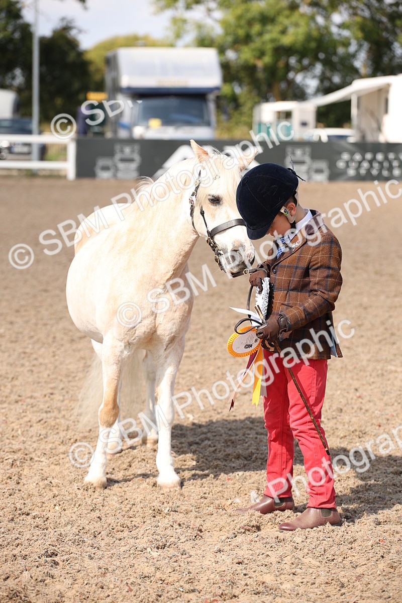 SBM_03072 - Class 17 Prettiest Mare IH or Ridden